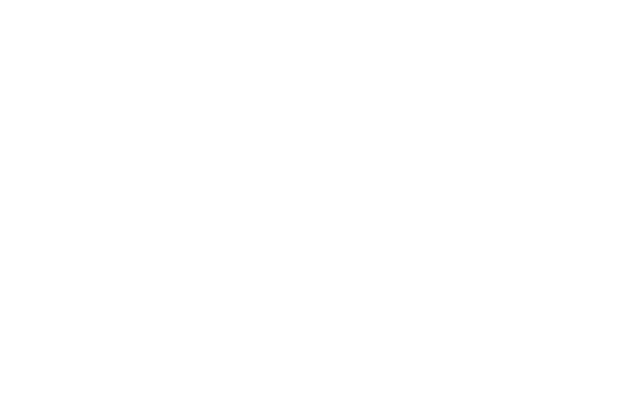 DJI Drone